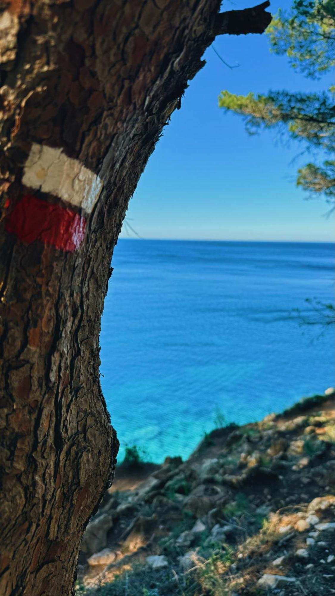 Can Romy Appartement T2F A 20M De La Plage De Cala Montgo L' Escala Esterno foto